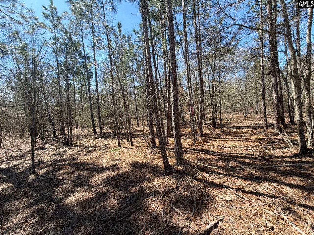 Bhl 9 Boise Cascade Road Photo 31