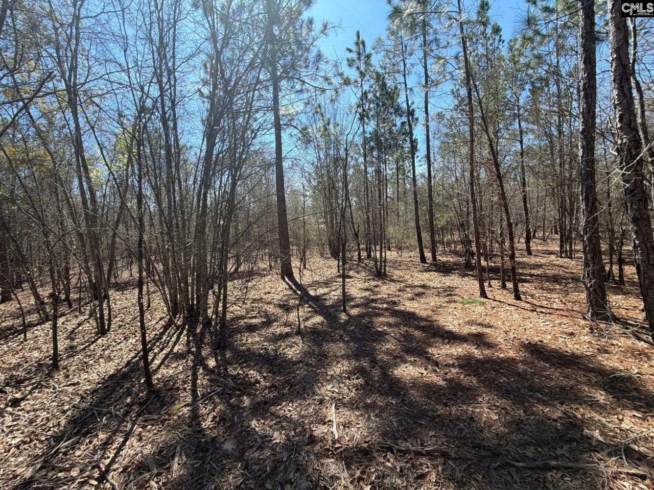 Bhl 9 Boise Cascade Road Photo 32