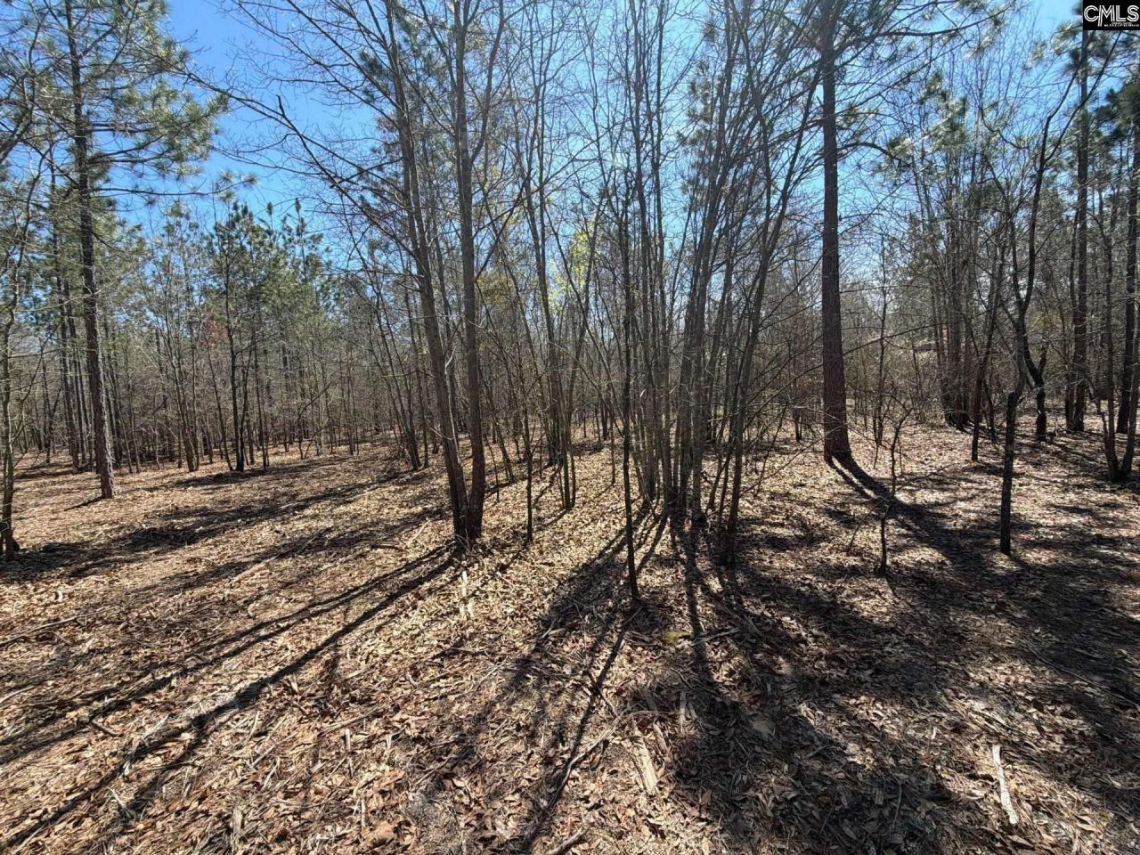 Bhl 9 Boise Cascade Road Photo 33