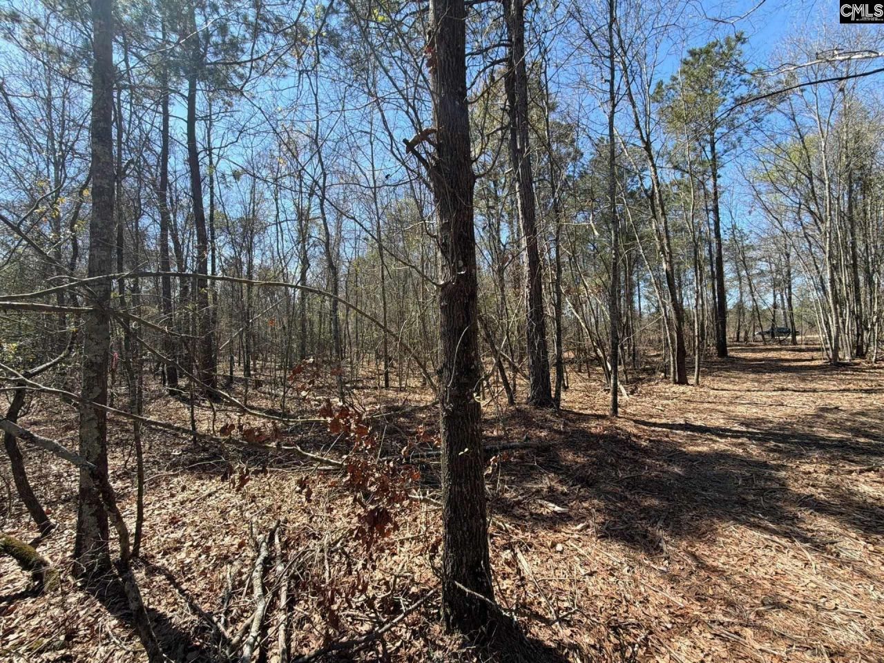 Bhl 9 Boise Cascade Road Photo 34