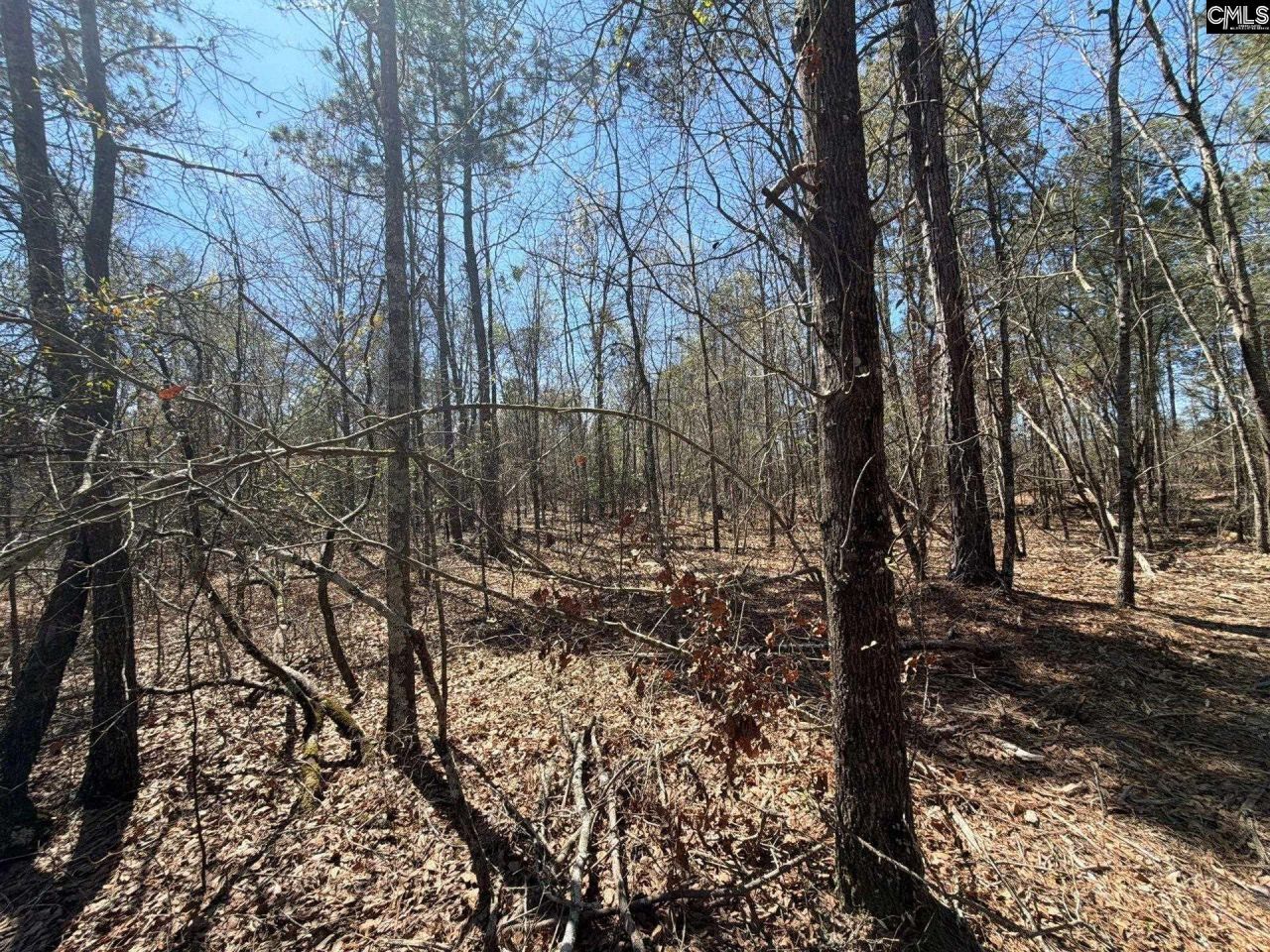 Bhl 9 Boise Cascade Road Photo 35