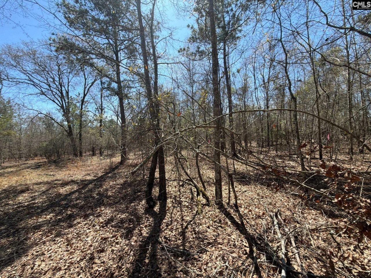 Bhl 9 Boise Cascade Road Photo 36