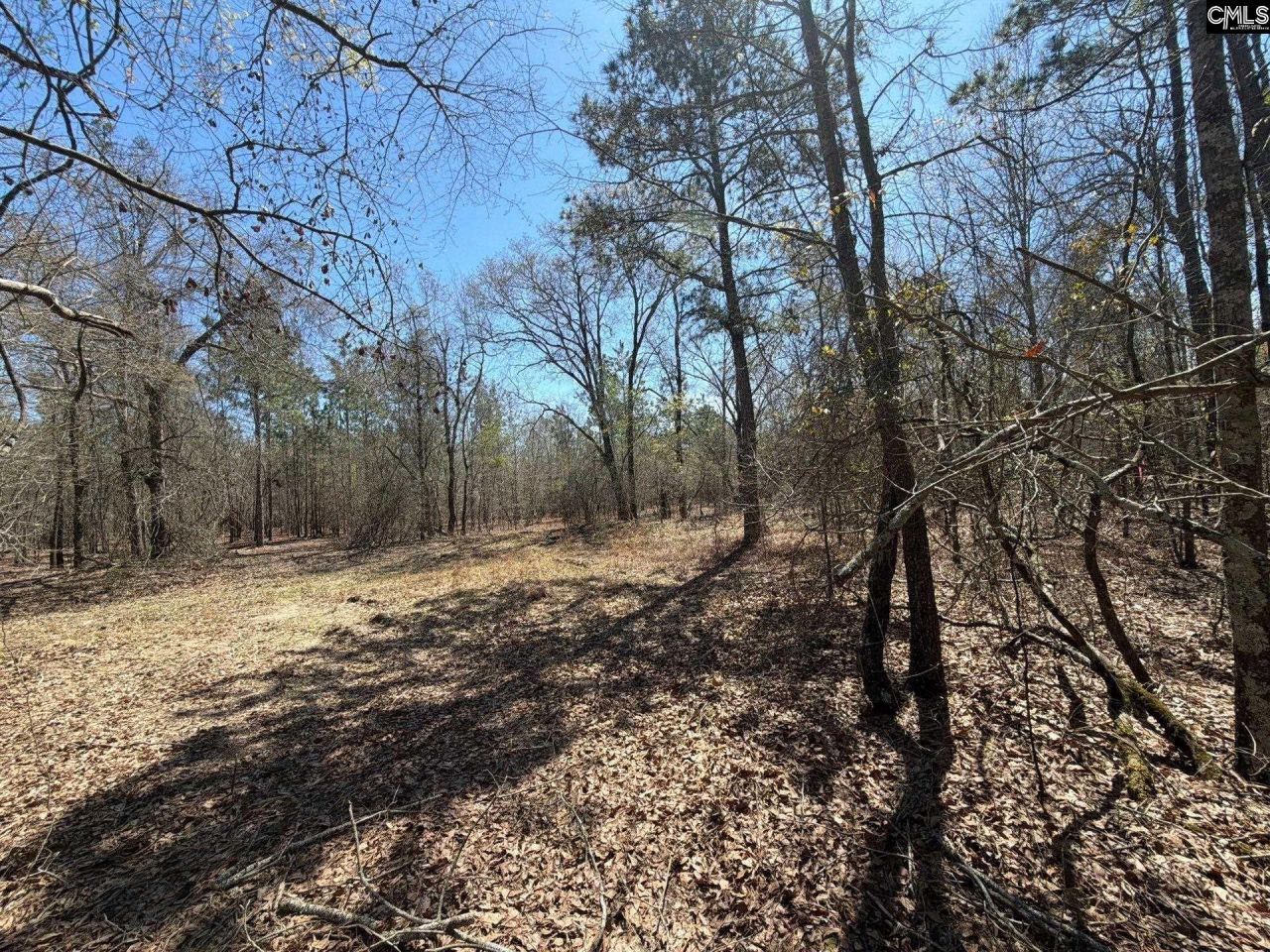 Bhl 9 Boise Cascade Road Photo 37