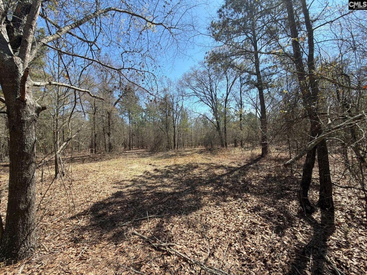 Bhl 9 Boise Cascade Road Photo 38