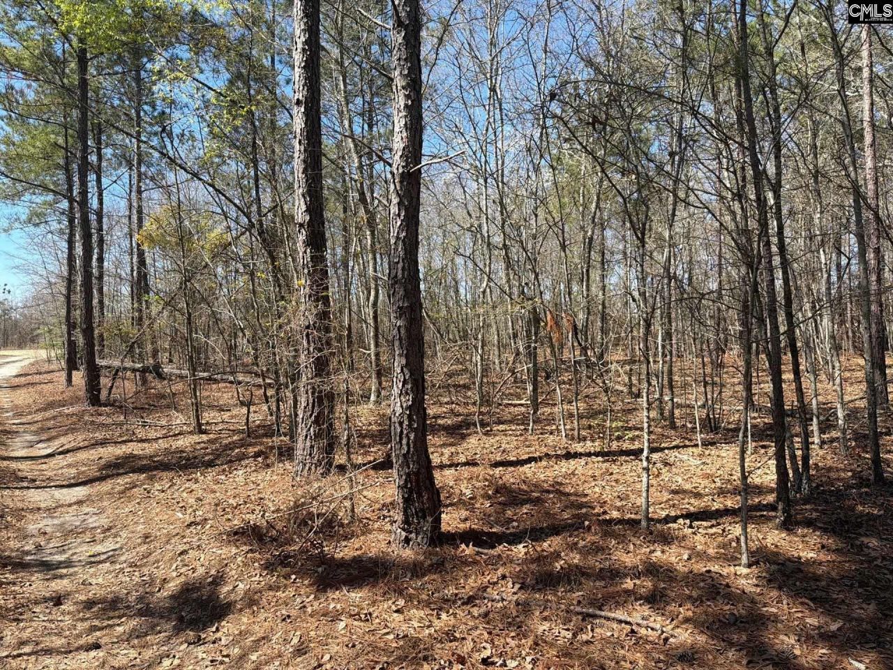 Bhl 9 Boise Cascade Road Photo 4