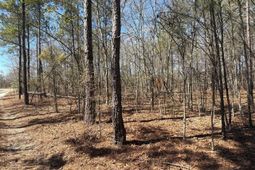 Bhl 9 Boise Cascade Road photo 4