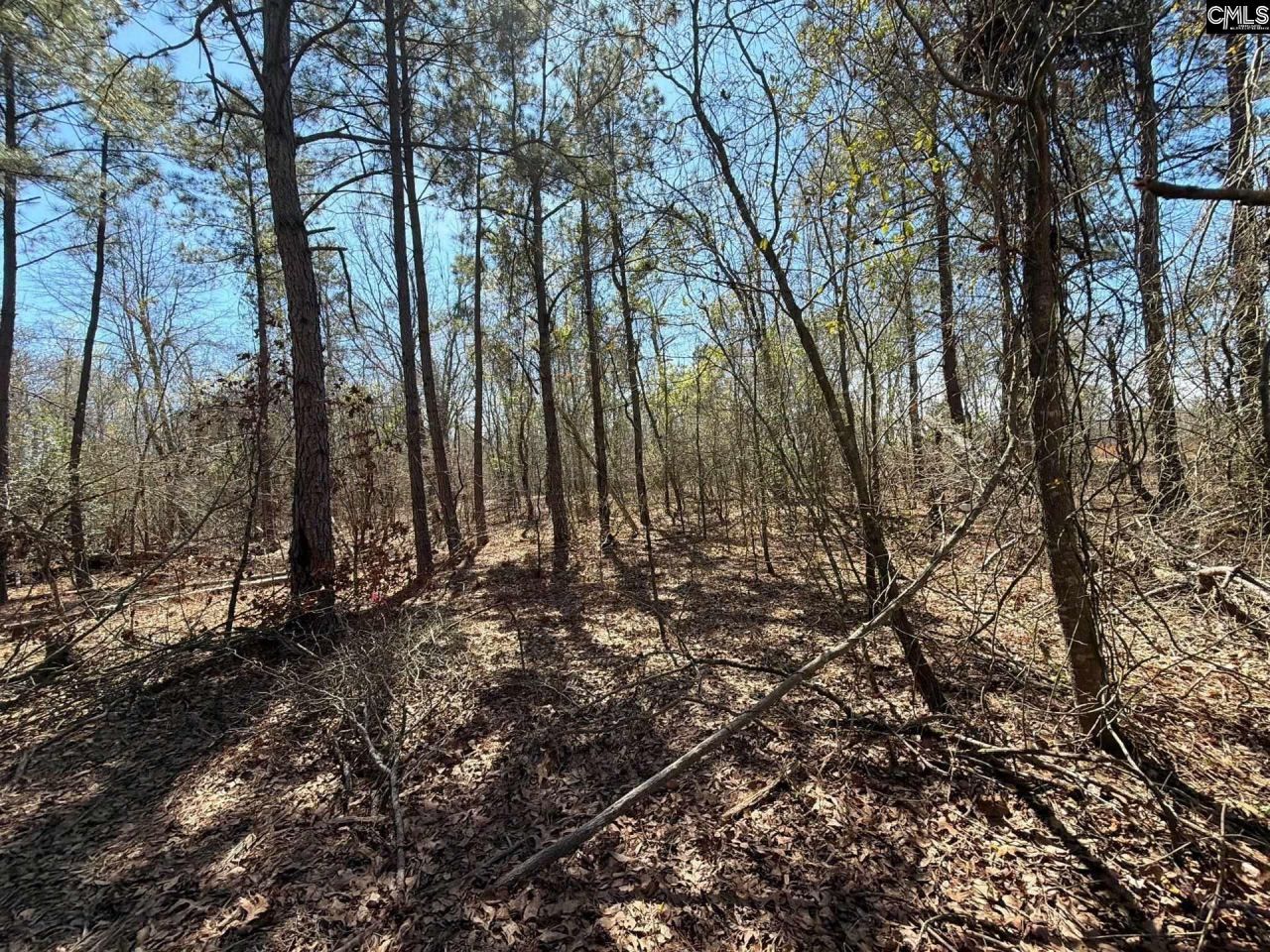 Bhl 9 Boise Cascade Road Photo 40