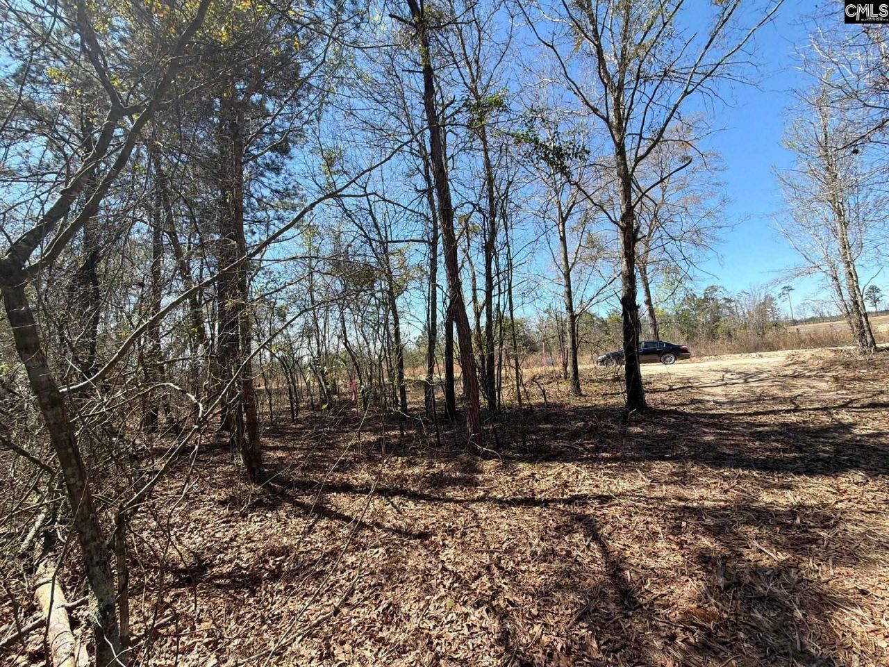 Bhl 9 Boise Cascade Road Photo 41