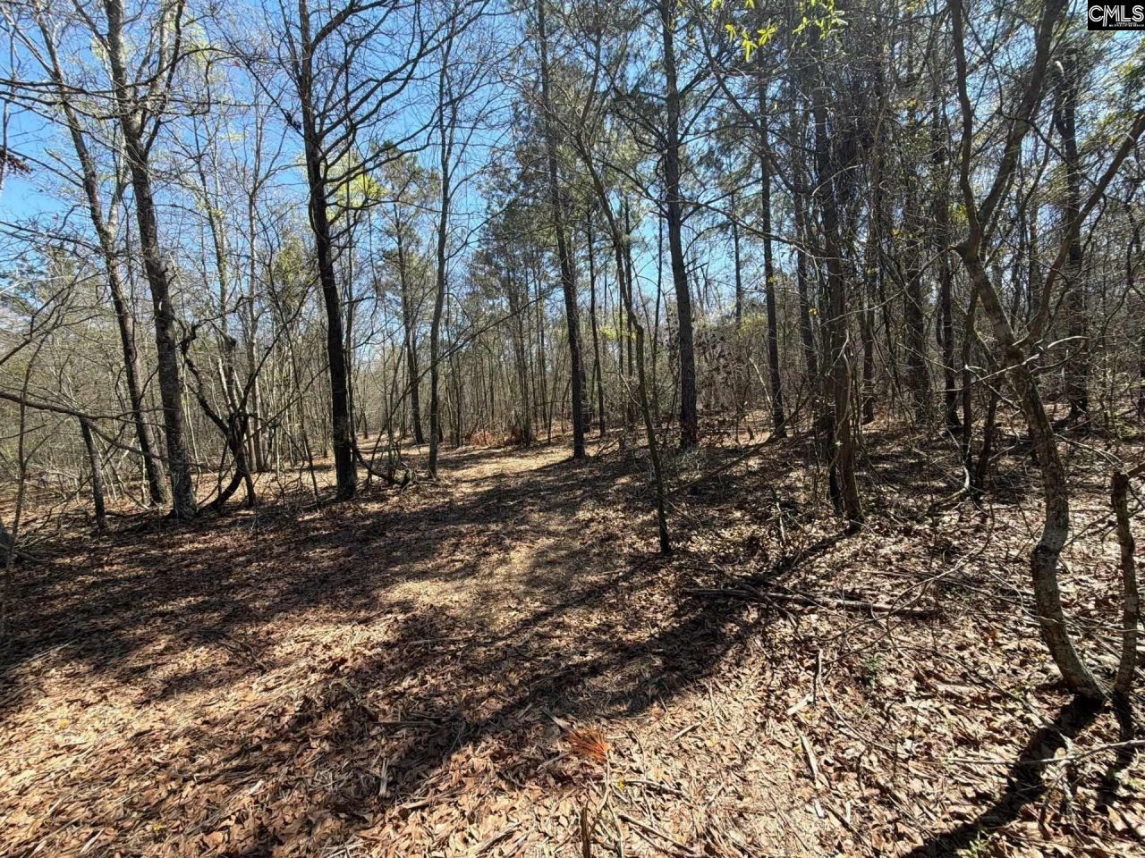 Bhl 9 Boise Cascade Road Photo 42