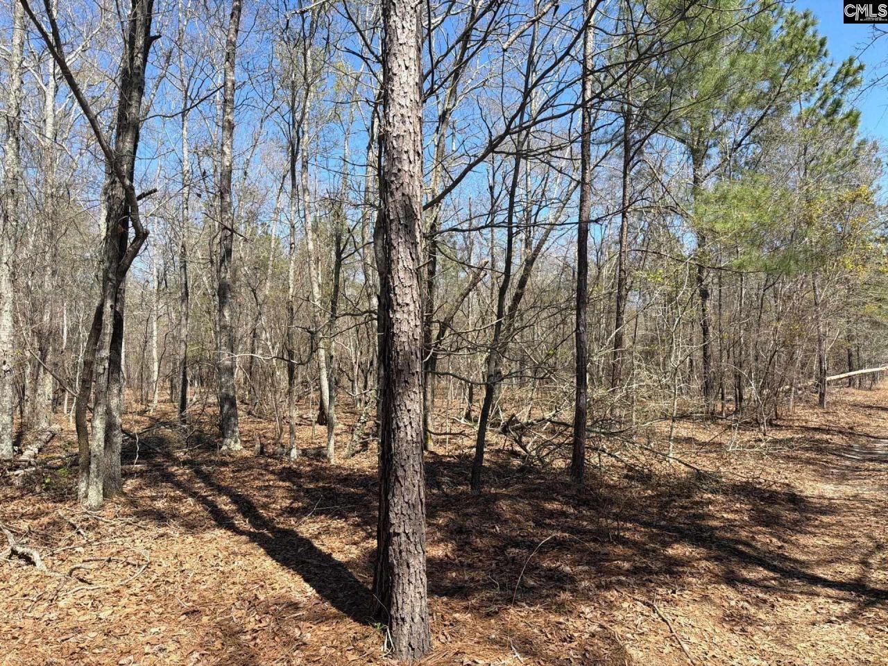 Bhl 9 Boise Cascade Road Photo 5