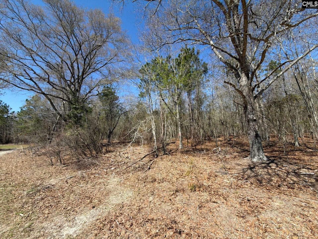 Bhl 9 Boise Cascade Road Photo 9