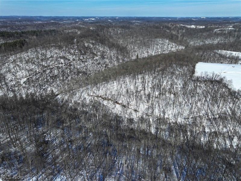 0 Tract 4 Twp Rd 815, Woodsfield, OH 43793 Photo 11