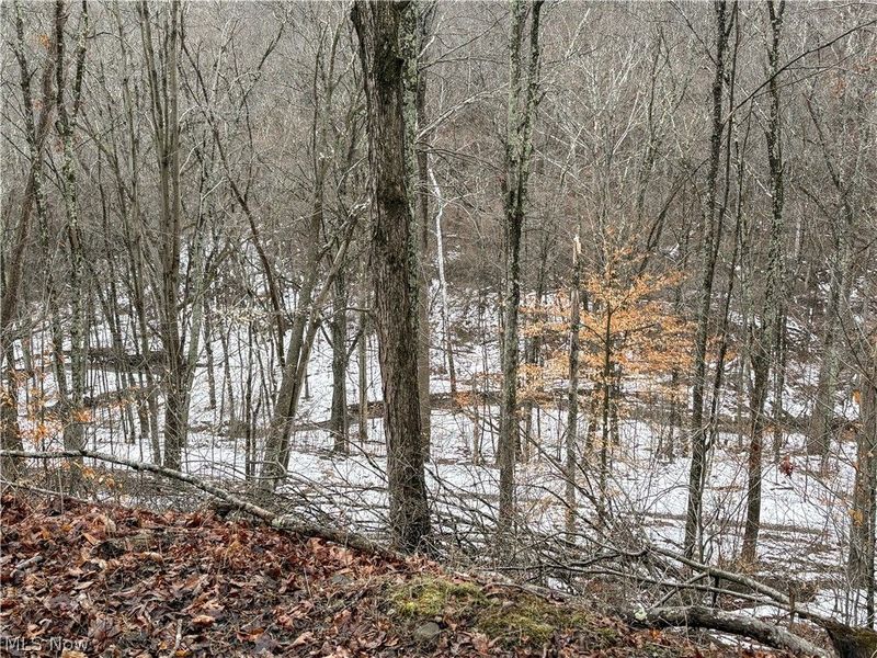 0 Tract 4 Twp Rd 815, Woodsfield, OH 43793 Photo 18