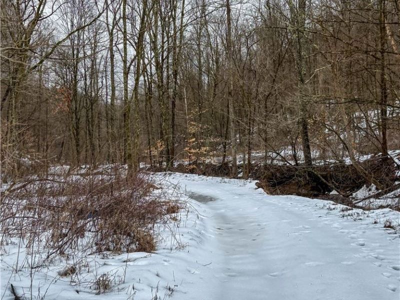 0 Tract 4 Twp Rd 815, Woodsfield, OH 43793 Photo 19