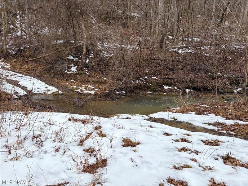 0 Tract 4 Twp Rd 815, Woodsfield, OH 43793 Photo 22