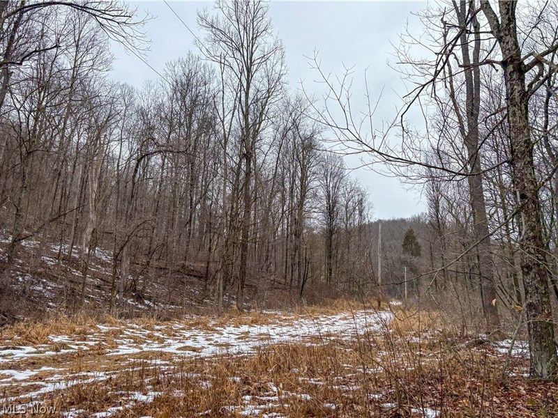 0 Tract 4 Twp Rd 815, Woodsfield, OH 43793 Photo 24