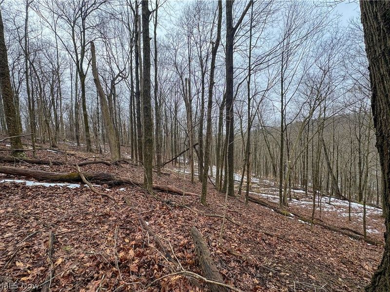 0 Tract 4 Twp Rd 815, Woodsfield, OH 43793 Photo 26
