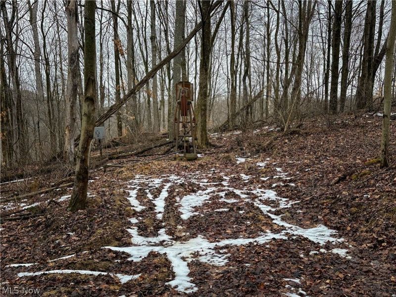 0 Tract 4 Twp Rd 815, Woodsfield, OH 43793 Photo 27