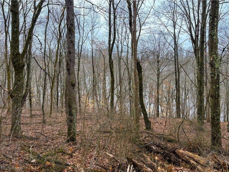 0 Tract 4 Twp Rd 815, Woodsfield, OH 43793 Photo 29