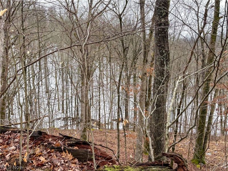 0 Tract 4 Twp Rd 815, Woodsfield, OH 43793 Photo 30