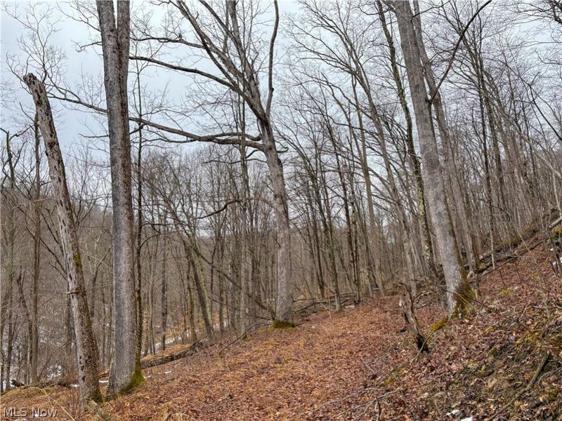 0 Tract 4 Twp Rd 815, Woodsfield, OH 43793 Photo 31