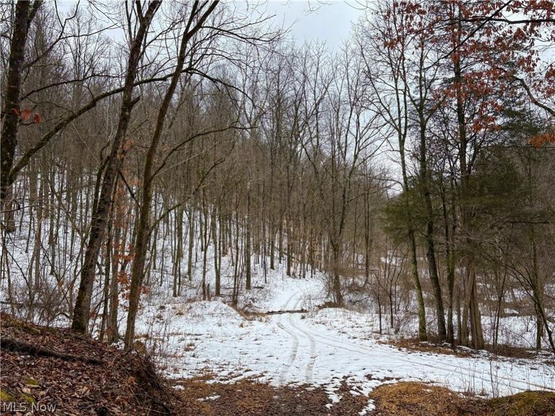 0 Tract 4 Twp Rd 815, Woodsfield, OH 43793 Photo 32