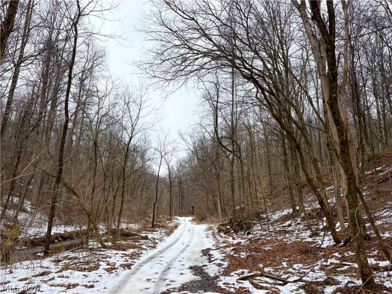0 Tract 4 Twp Rd 815, Woodsfield, OH 43793 Photo 33