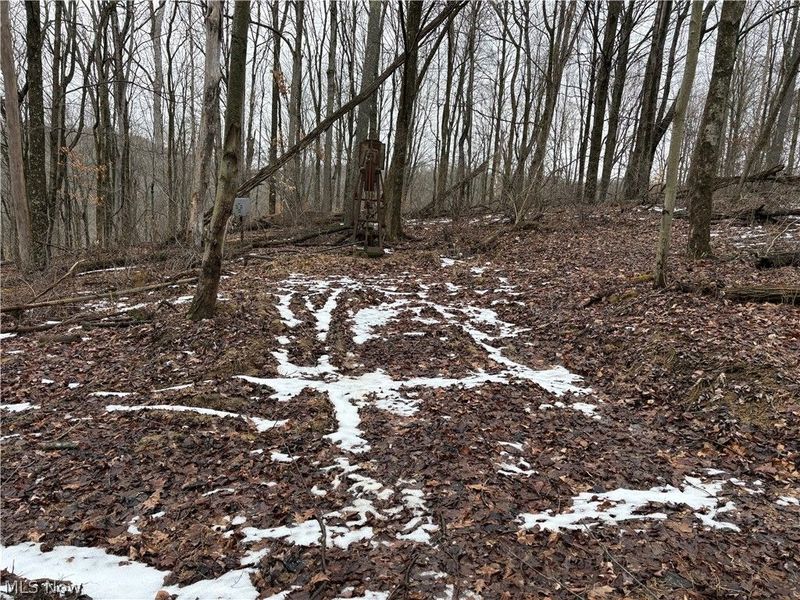 0 Tract 4 Twp Rd 815, Woodsfield, OH 43793 Photo 6