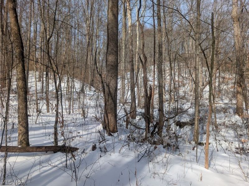 0 Tract 11 Miltonsburg-Calais Road, Woodsfield, OH 43793 Photo 10