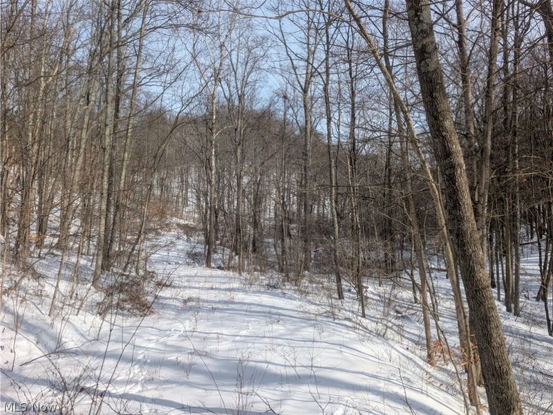 0 Tract 11 Miltonsburg-Calais Road, Woodsfield, OH 43793 Photo 11