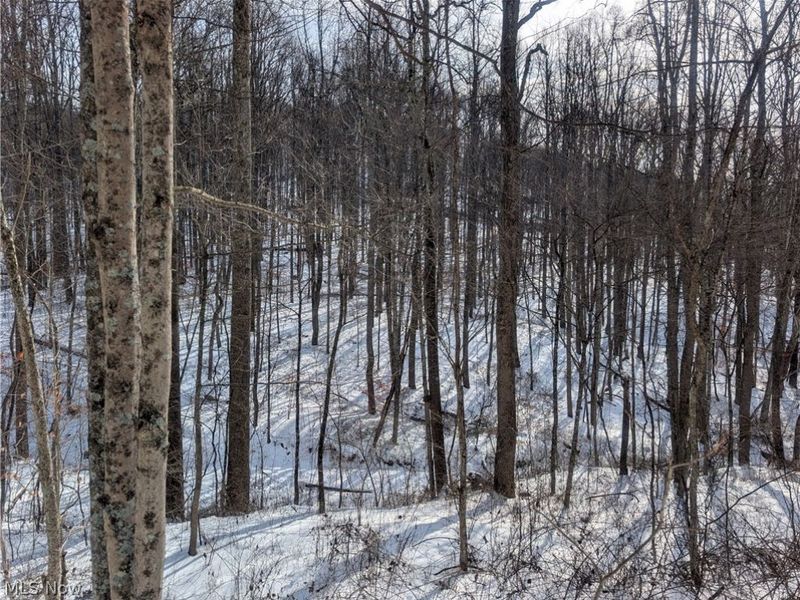 0 Tract 11 Miltonsburg-Calais Road, Woodsfield, OH 43793 Photo 12