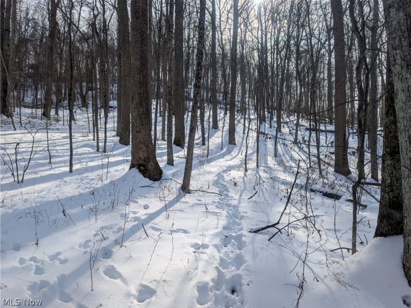 0 Tract 11 Miltonsburg-Calais Road, Woodsfield, OH 43793 Photo 13