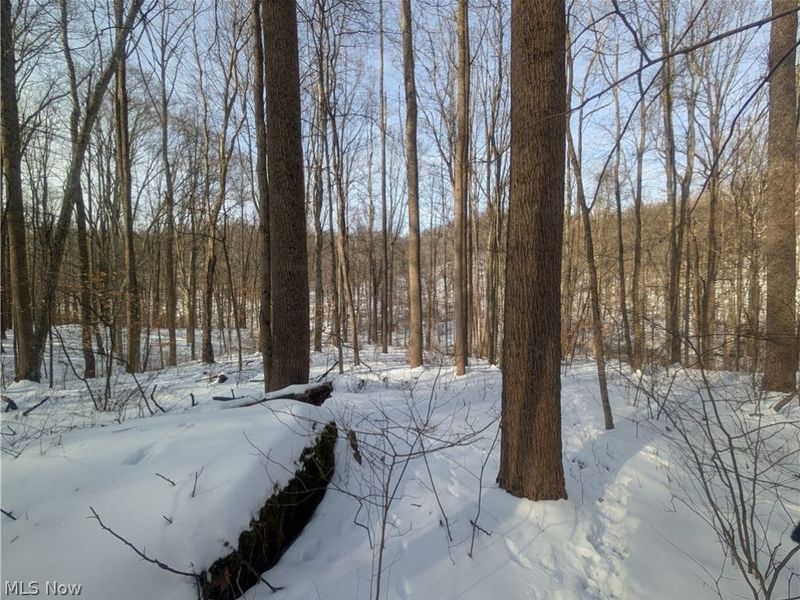 0 Tract 11 Miltonsburg-Calais Road, Woodsfield, OH 43793 Photo 14