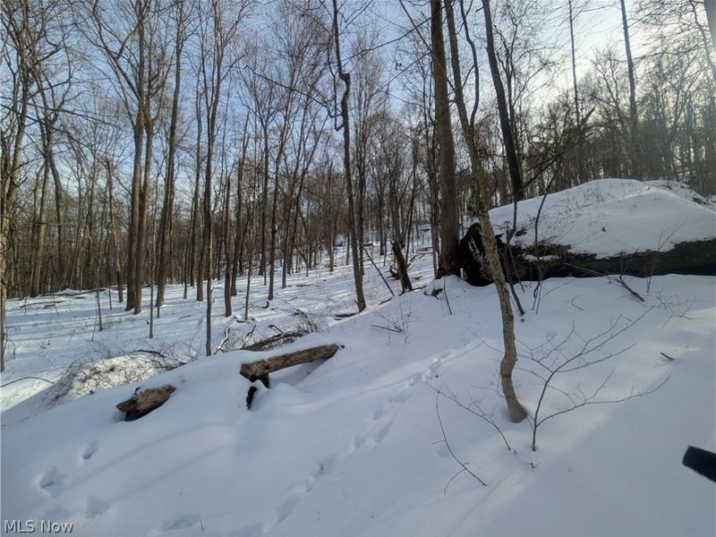 0 Tract 11 Miltonsburg-Calais Road, Woodsfield, OH 43793 Photo 15