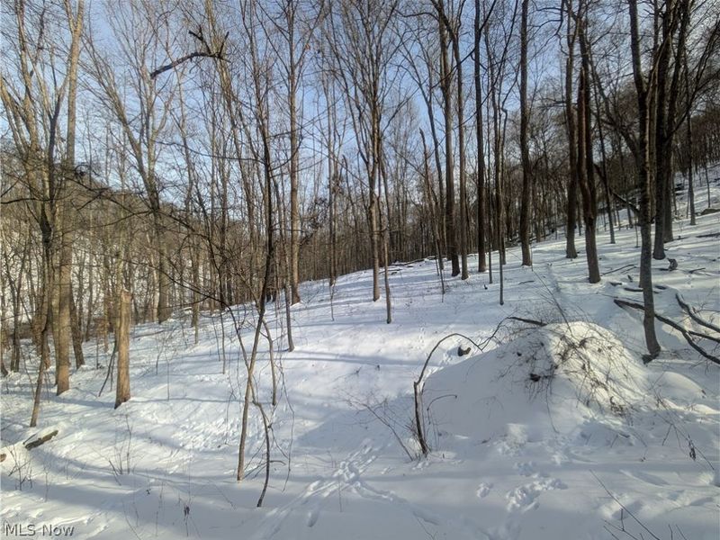 0 Tract 11 Miltonsburg-Calais Road, Woodsfield, OH 43793 Photo 16