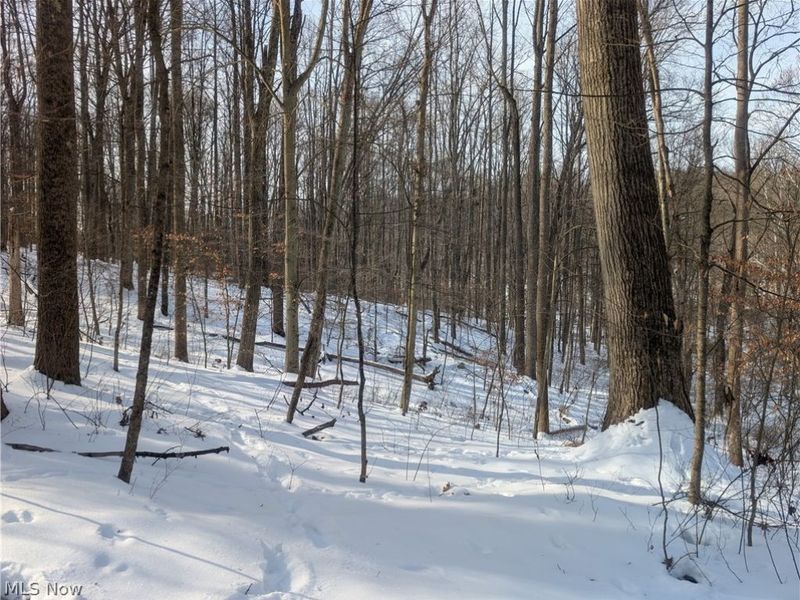 0 Tract 11 Miltonsburg-Calais Road, Woodsfield, OH 43793 Photo 17