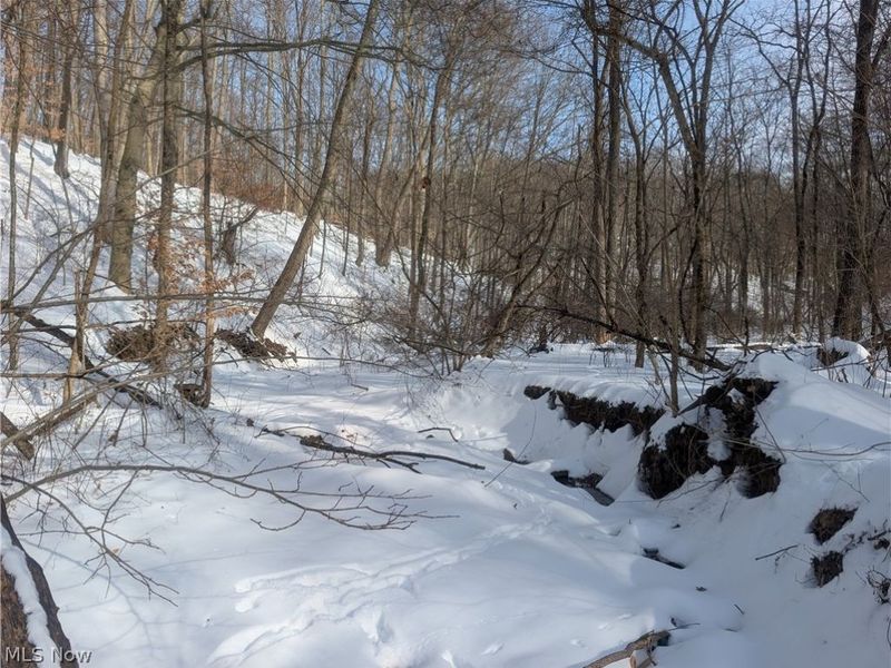 0 Tract 11 Miltonsburg-Calais Road, Woodsfield, OH 43793 Photo 18