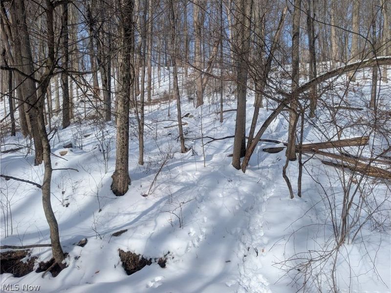 0 Tract 11 Miltonsburg-Calais Road, Woodsfield, OH 43793 Photo 19