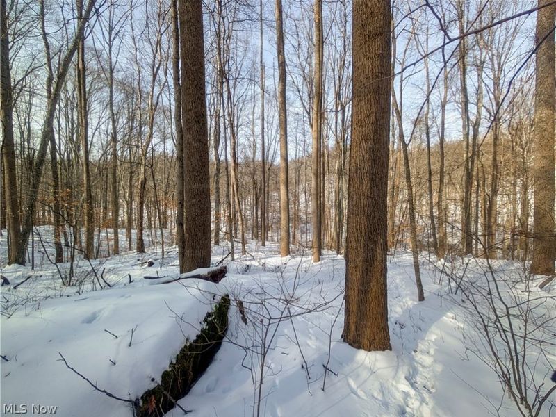 0 Tract 11 Miltonsburg-Calais Road, Woodsfield, OH 43793 Photo 2