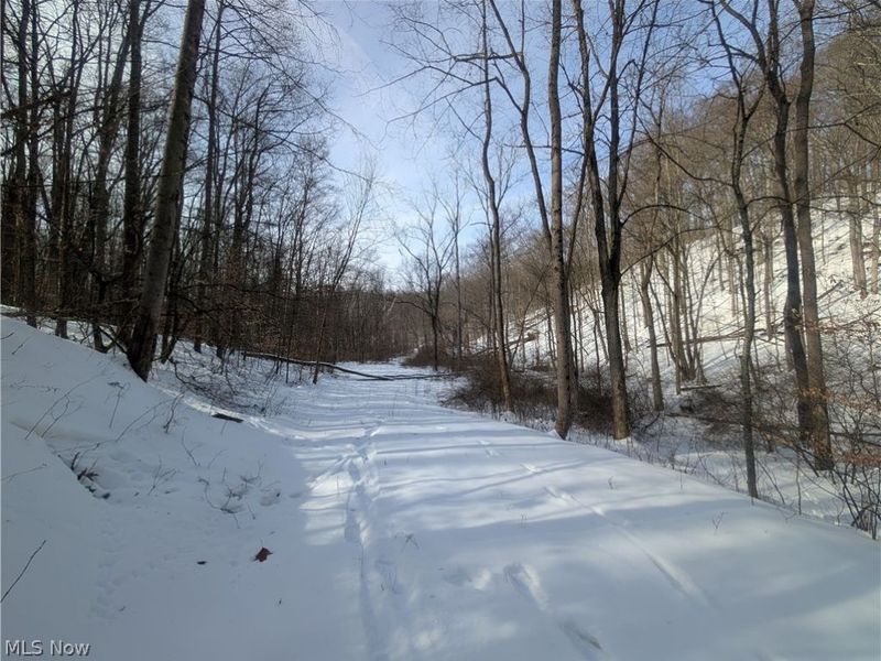 0 Tract 11 Miltonsburg-Calais Road, Woodsfield, OH 43793 Photo 20