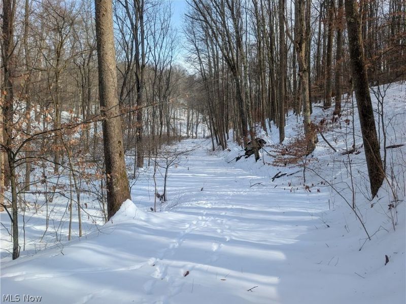 0 Tract 11 Miltonsburg-Calais Road, Woodsfield, OH 43793 Photo 21