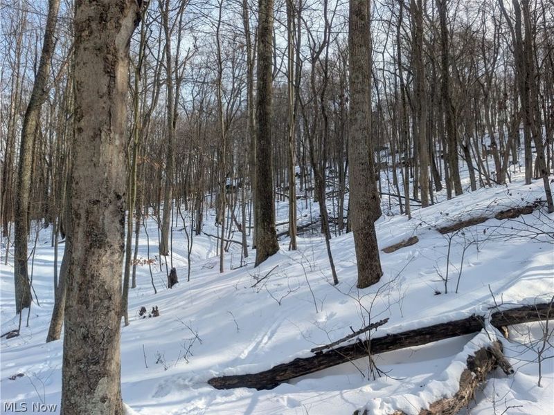 0 Tract 11 Miltonsburg-Calais Road, Woodsfield, OH 43793 Photo 22