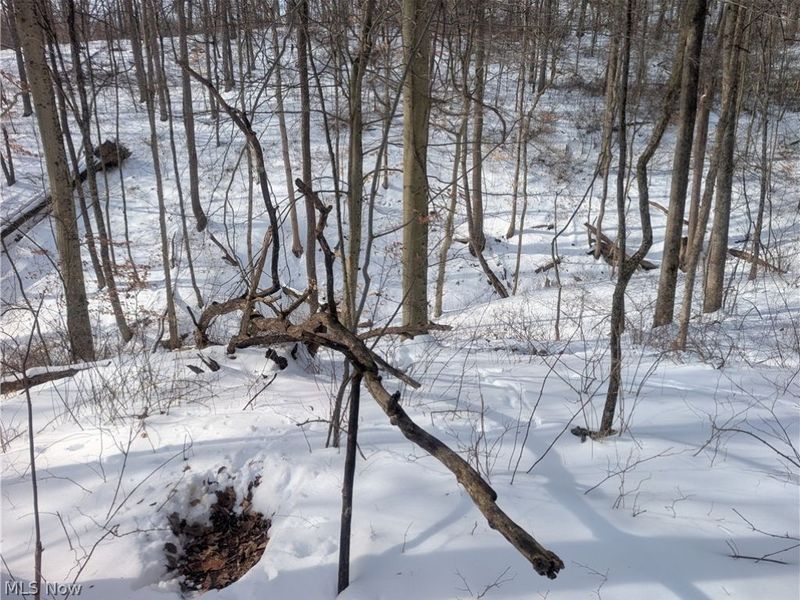 0 Tract 11 Miltonsburg-Calais Road, Woodsfield, OH 43793 Photo 23