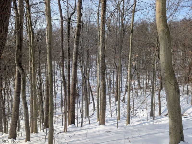 0 Tract 11 Miltonsburg-Calais Road, Woodsfield, OH 43793 Photo 25