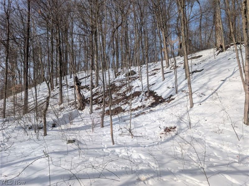 0 Tract 11 Miltonsburg-Calais Road, Woodsfield, OH 43793 Photo 26