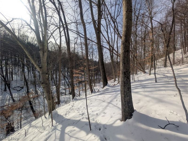 0 Tract 11 Miltonsburg-Calais Road, Woodsfield, OH 43793 Photo 27