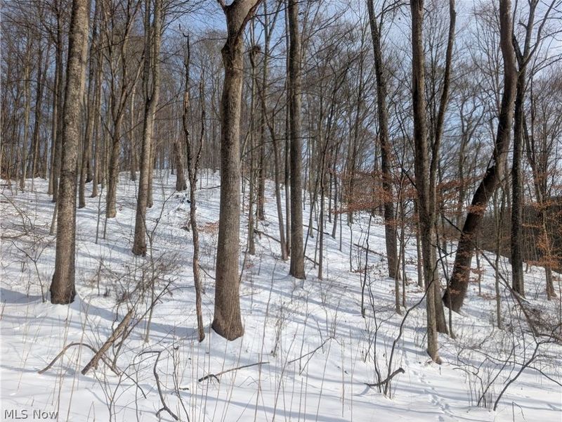 0 Tract 11 Miltonsburg-Calais Road, Woodsfield, OH 43793 Photo 28