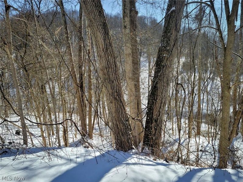 0 Tract 11 Miltonsburg-Calais Road, Woodsfield, OH 43793 Photo 5