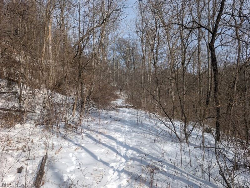 0 Tract 11 Miltonsburg-Calais Road, Woodsfield, OH 43793 Photo 8