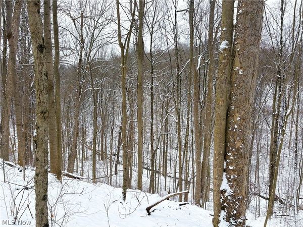 0 Tract 2 MORRS RIDGE Road , Woodsfield, OH 43793